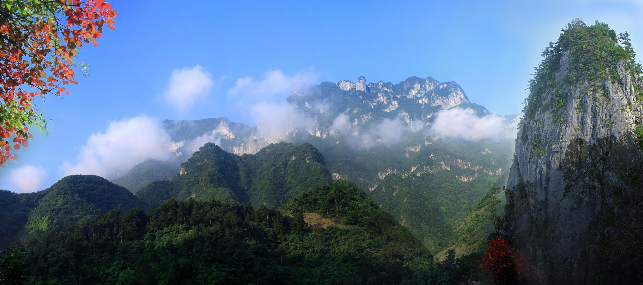 天竺山的资源 - 陕西天竺山国家森林公园